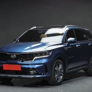 Sorento new