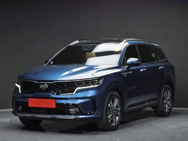 Sorento new