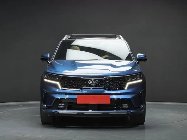 Sorento new - Image 2